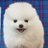 ソフトバンク西田辺