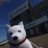 SoftBank会津若松