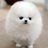 ソフトバンク中環意岐部