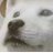 ソフトバンク五反田