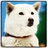 ｿﾌﾄﾊﾞﾝｸつくば中央